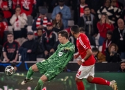 米兰体育-比利时致命一击西班牙，成功晋级半决赛的简单介绍