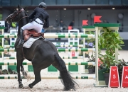 米兰体育网页版-巴勒斯坦选手在马术比赛中表现优异