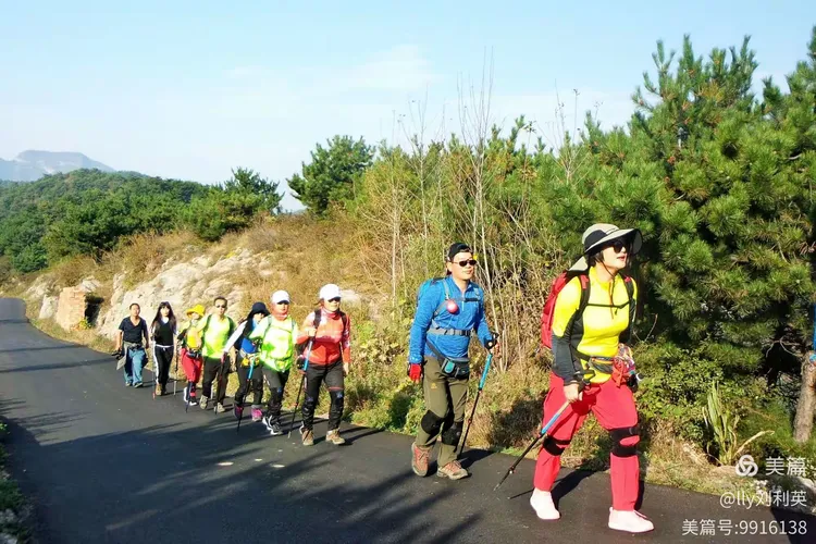 劲旅擎天战季后赛，巅峰对决各展雄姿的简单介绍