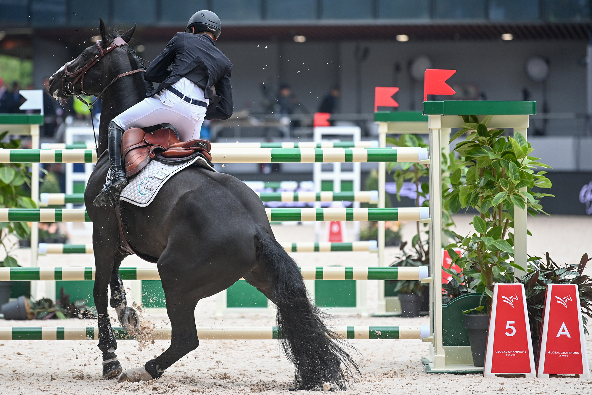 巴勒斯坦选手在马术比赛中表现优异