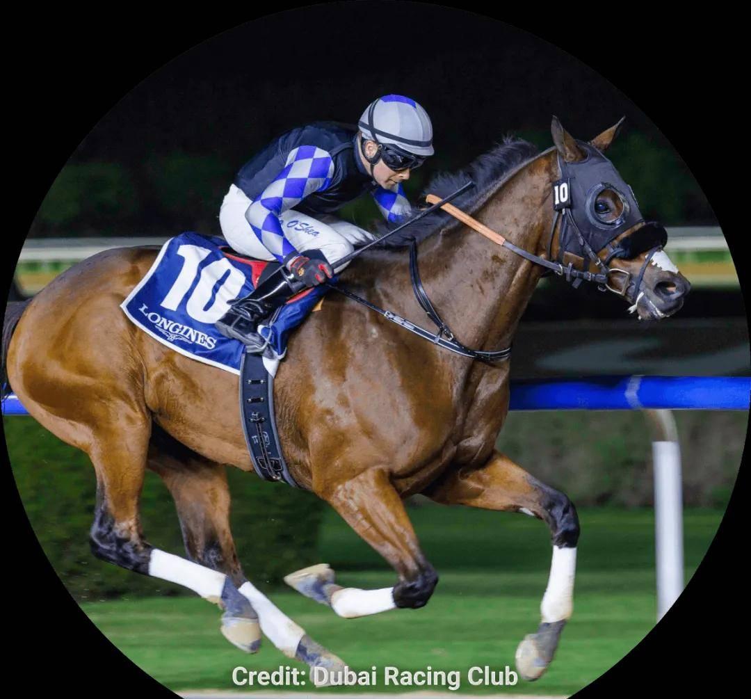 巴勒斯坦选手在马术比赛中表现优异